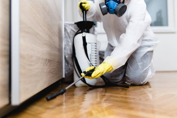 Best Pest Removal Services  in Brewster Heights, NY