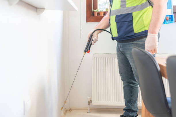 Best Pest Prevention Services  in Brewster Heights, NY