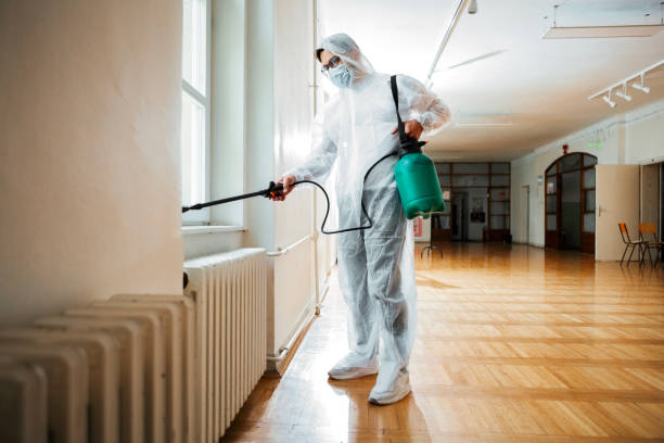 Best Affordable Pest Control Services  in Brewster Heights, NY