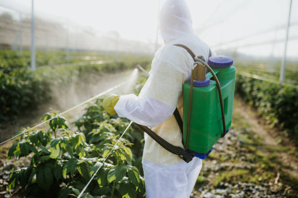 Best Flea Control Services  in Brewster Heights, NY